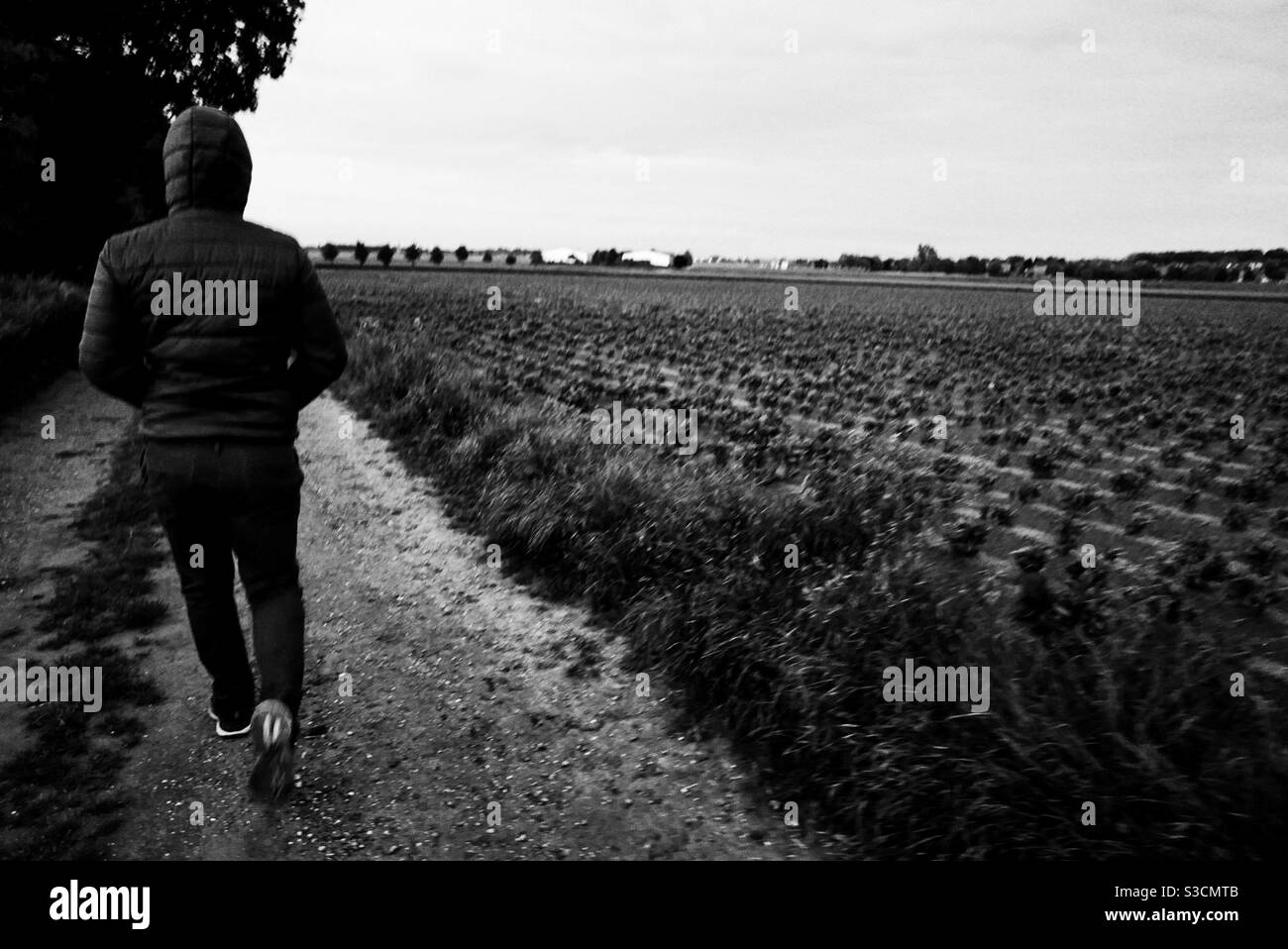 Uomo Hooded che cammina lungo la corsia di campagna Foto Stock