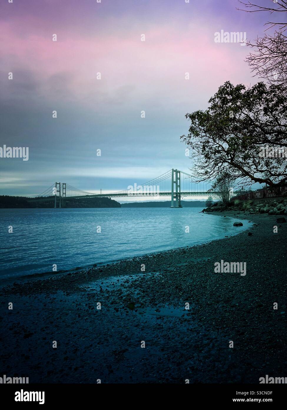Tacoma Narrows ponte visto dalla spiaggia Foto Stock
