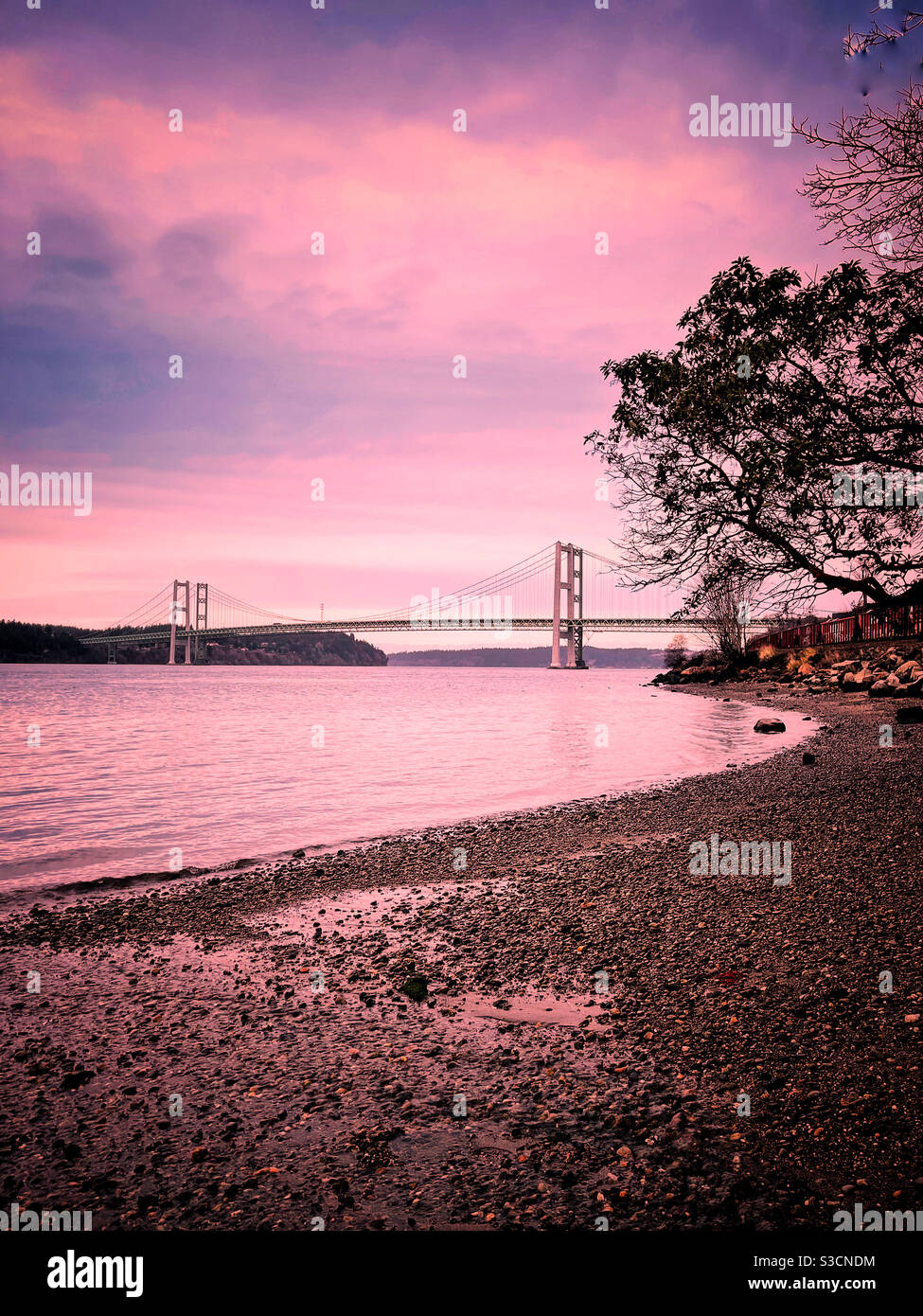 Luce rosa sopra il ponte Narrows a Tacoma Foto Stock