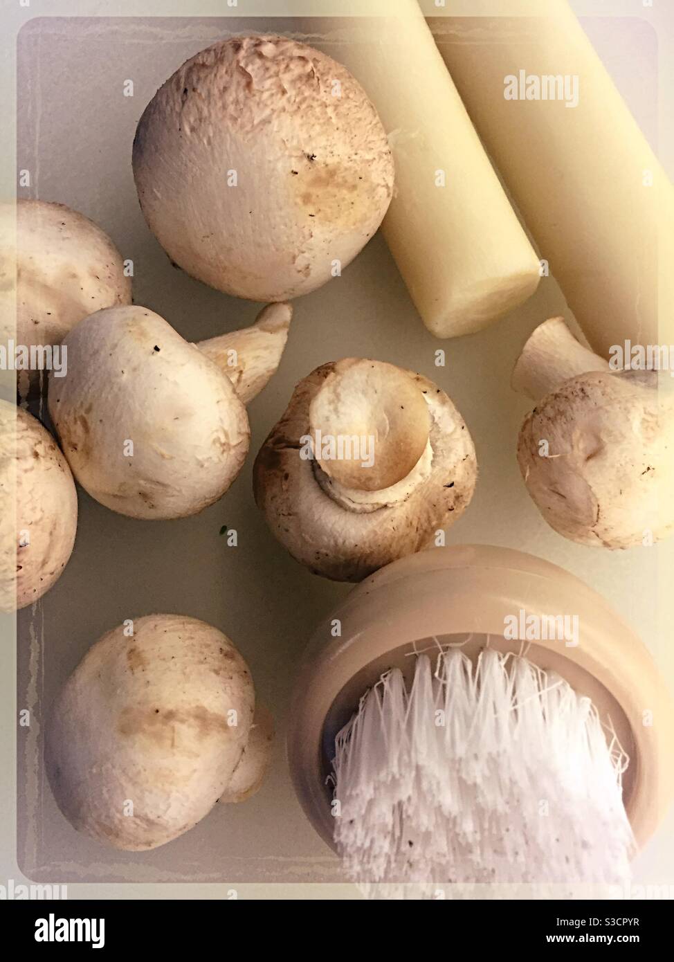 Piatto giacitura primo piano di funghi di legno bianco e cuori di palma stock su una cucina residenziale tagliere, Stati Uniti - Immagine stock catturata con smartphone