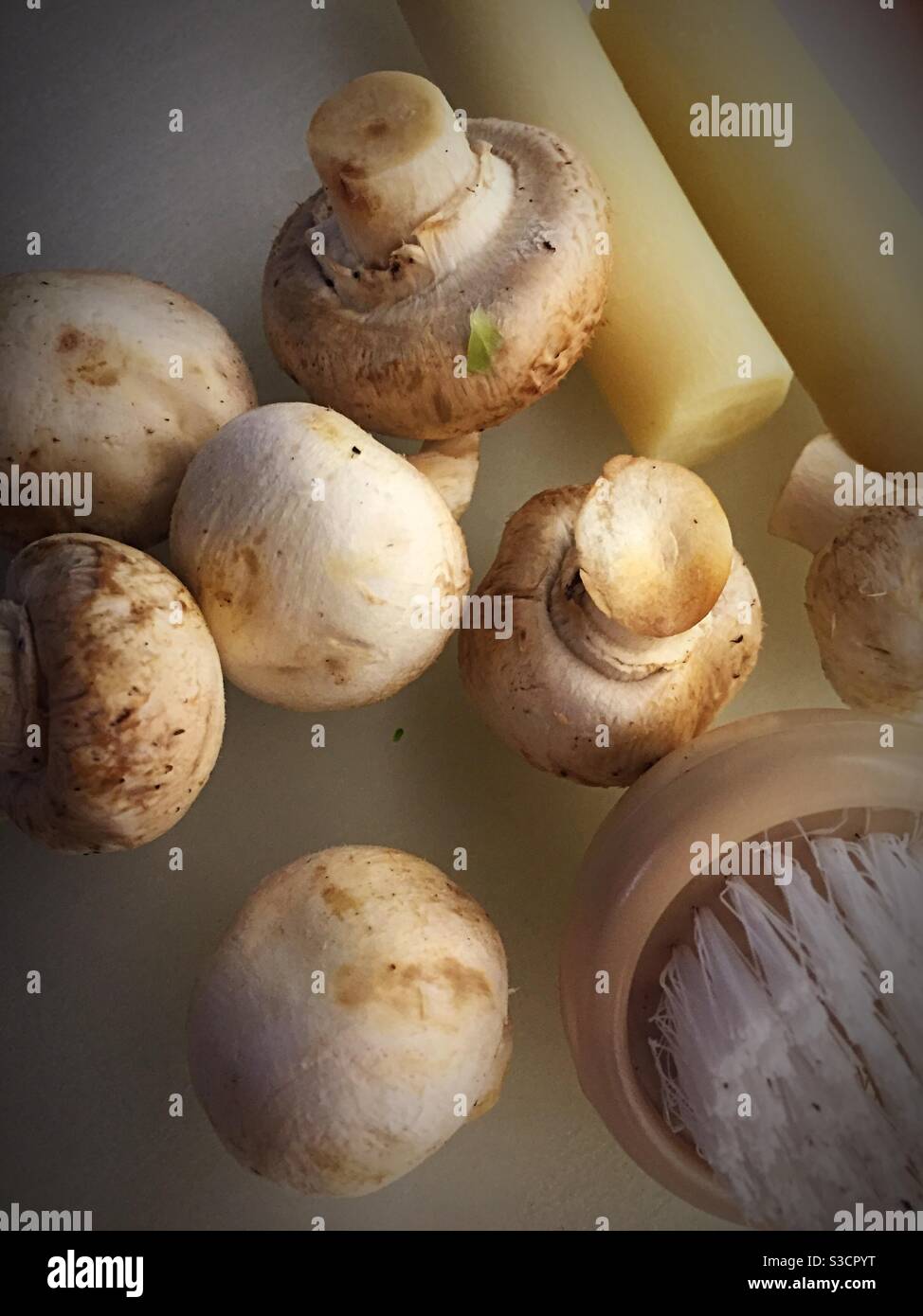 Primo piano di funghi di legno bianco e cuori di palma su una cucina residenziale tagliere - Immagine stock catturata con smartphone