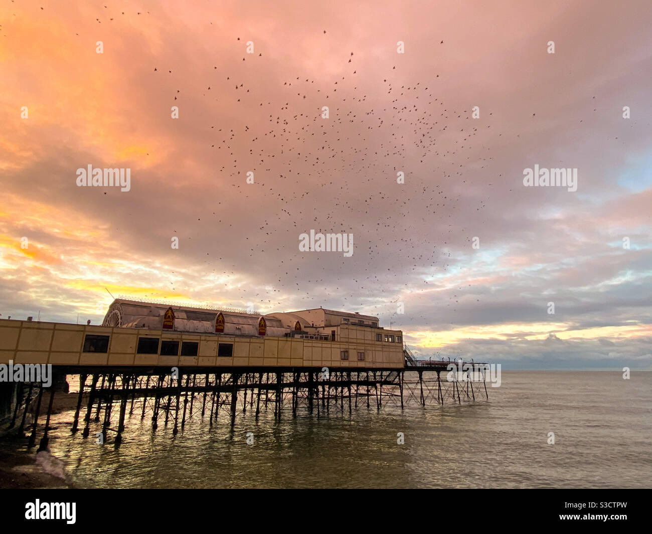 Aberystwyth, Galles occidentale, Regno Unito. Domenica 24 gennaio 2021. Tempo: Durante un bellissimo tramonto, migliaia di stelle mormorano intorno al molo. Credito fotografico©️ Rose Voon / Alamy Live News: Foto Stock