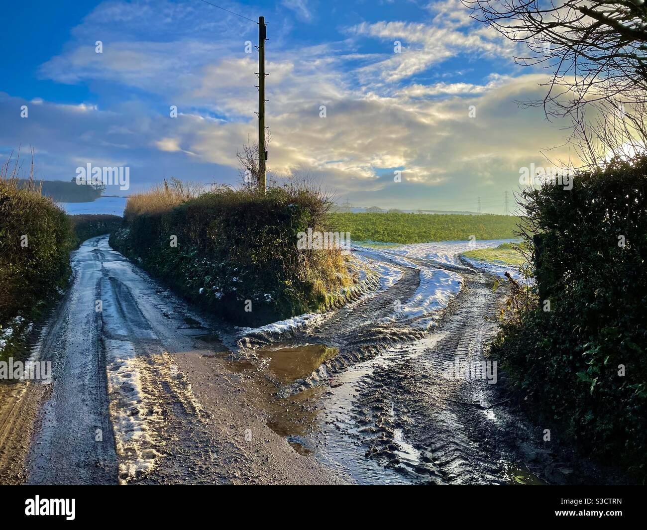 Inverno in una corsia di campagna, Galles del Sud, gennaio. Foto Stock