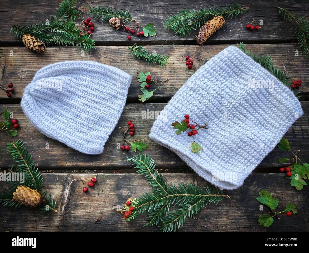 Stagione invernale di moda piatto Foto Stock