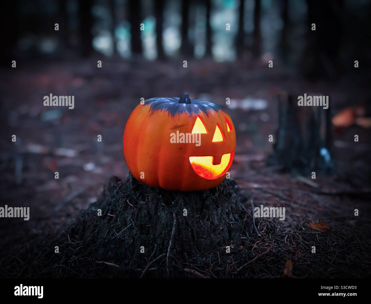 Zucca di Halloween illuminata in una foresta spooky Foto Stock
