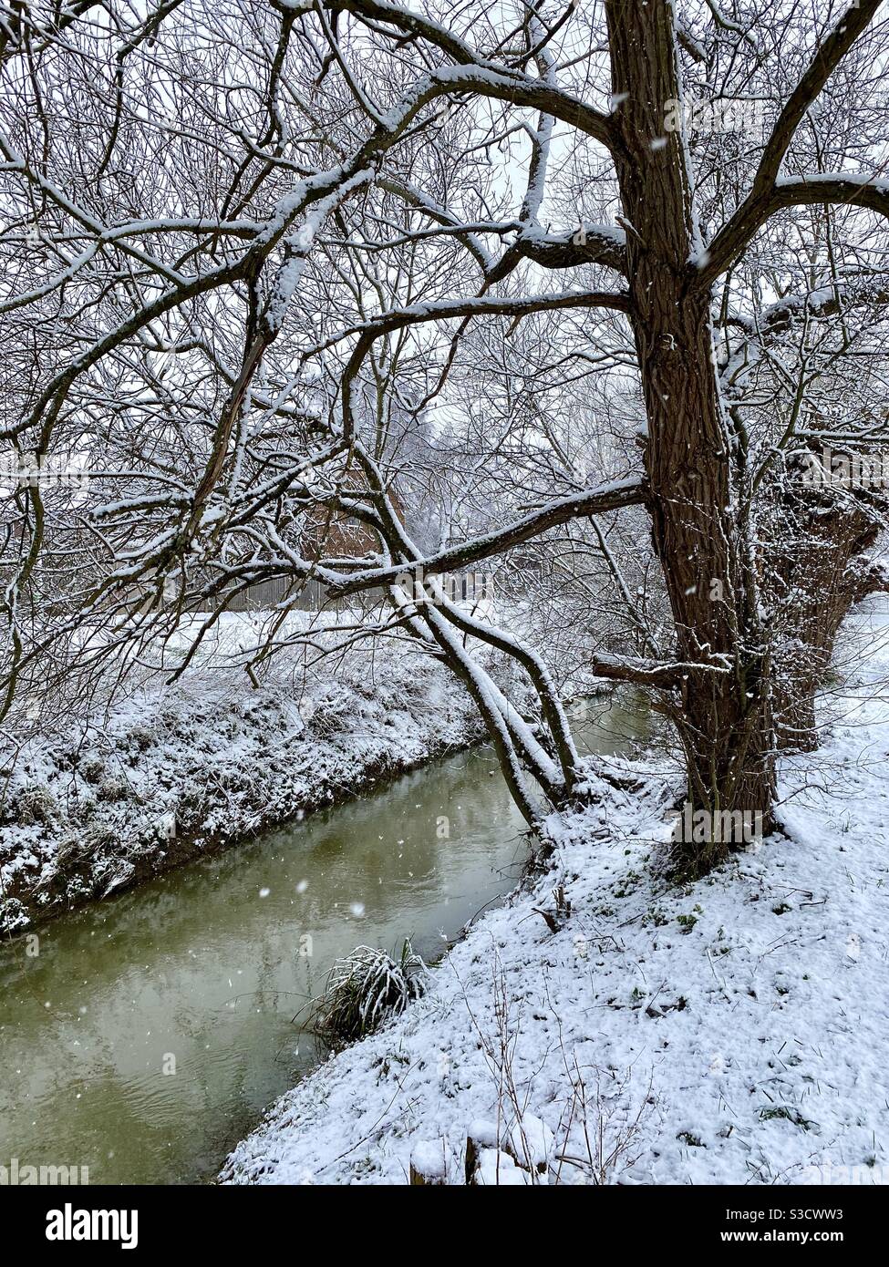Un fiume e alberi nella neve in inverno Foto Stock