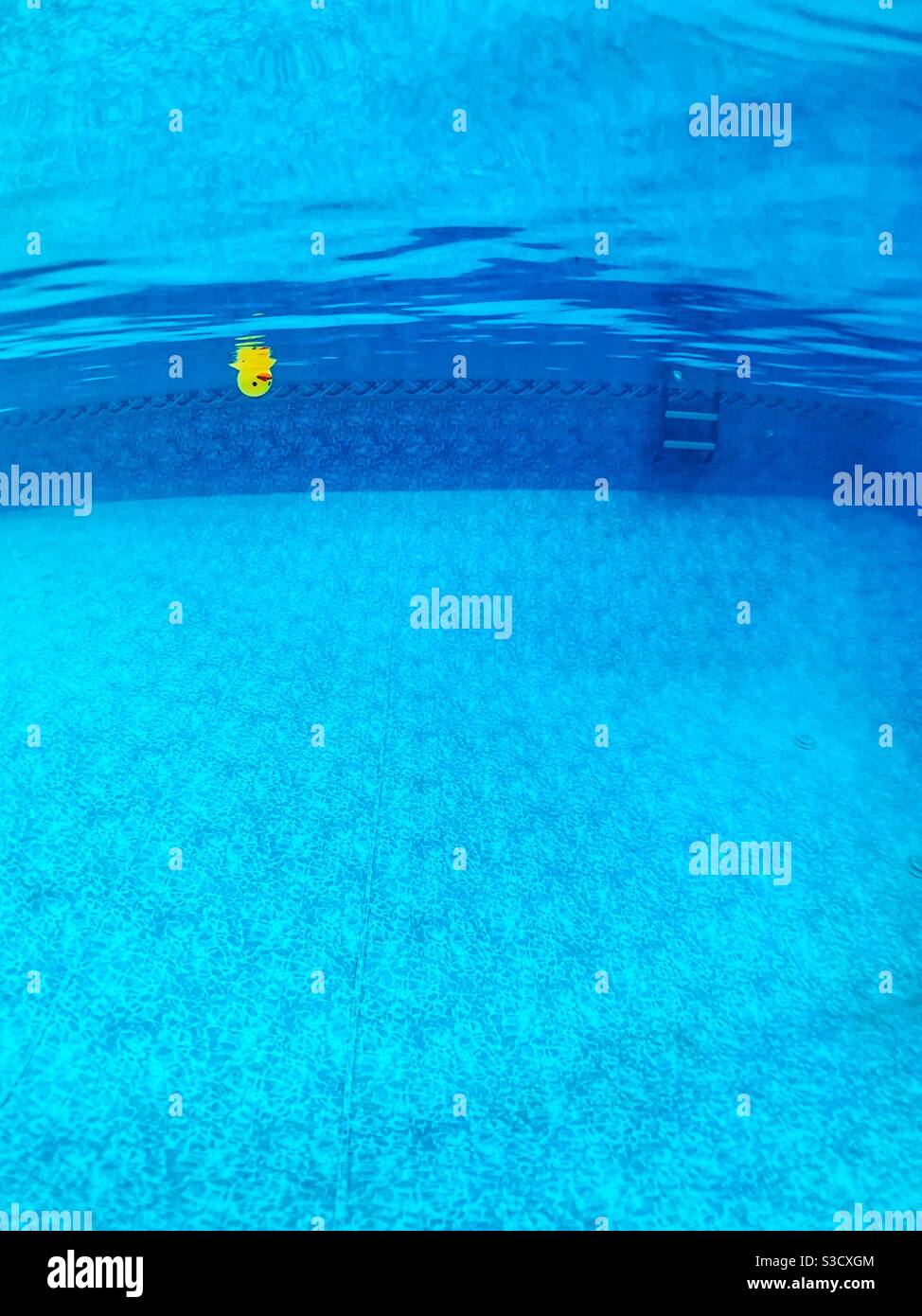 Vista subacquea di un ducato di gomma gialla capovolto in una piscina cortile. - Immagine stock catturata con smartphone