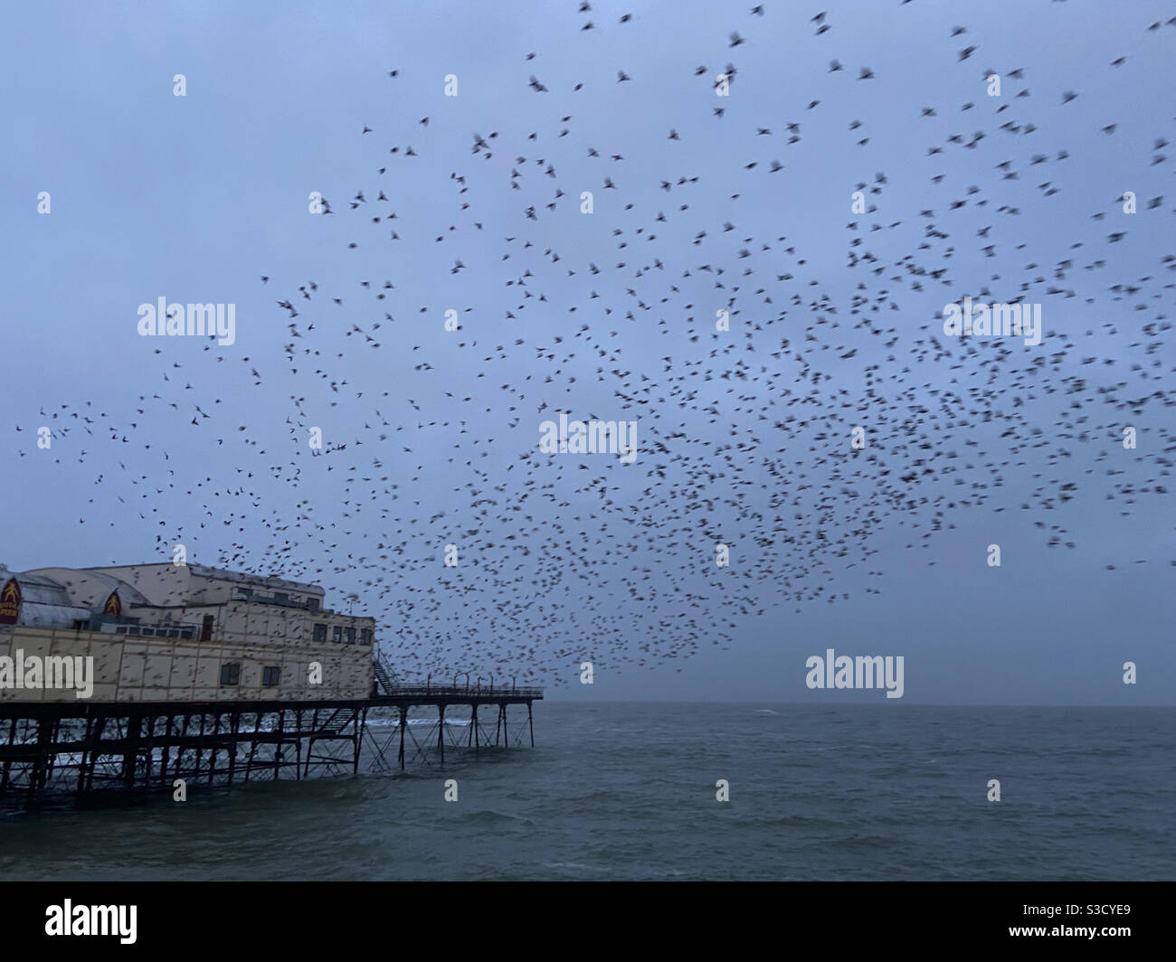 Aberystwyth, Galles occidentale, Regno Unito. Giovedì 28 gennaio 2021. Tempo: Migliaia di stelle scoppiano da sotto il molo in una mattinata amaramente fredda. Credito fotografico ©️ Rose Voon / Alamy Live News. Foto Stock