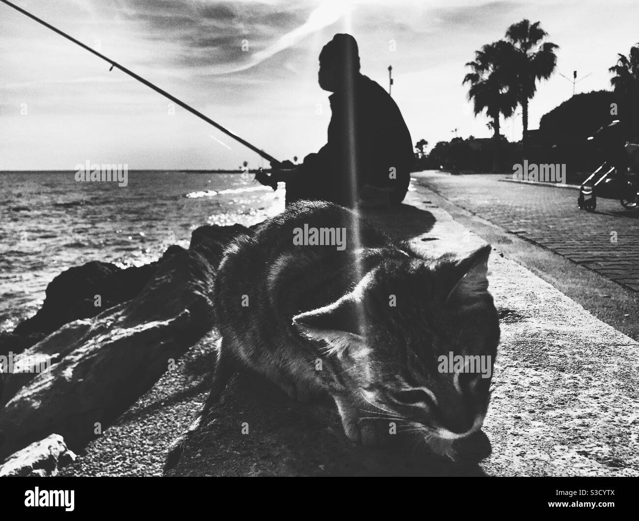 Gattino e pescatore Foto Stock