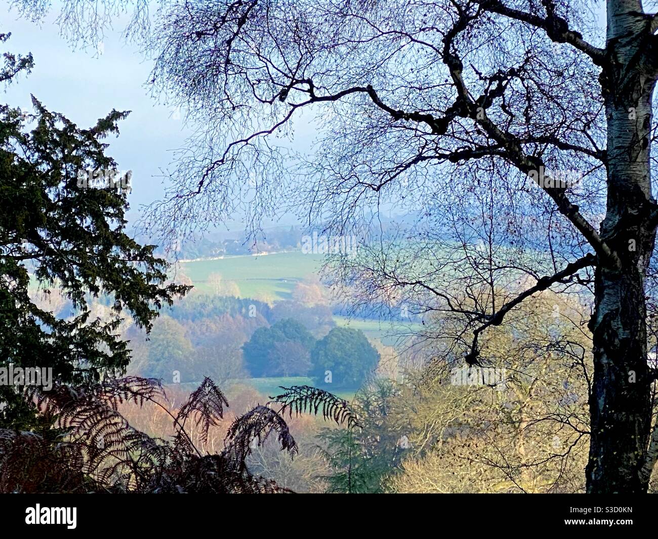 Tipico paesaggio inglese Kent campagna incorniciata da alberi silhouette e. bracken fine autunno Foto Stock