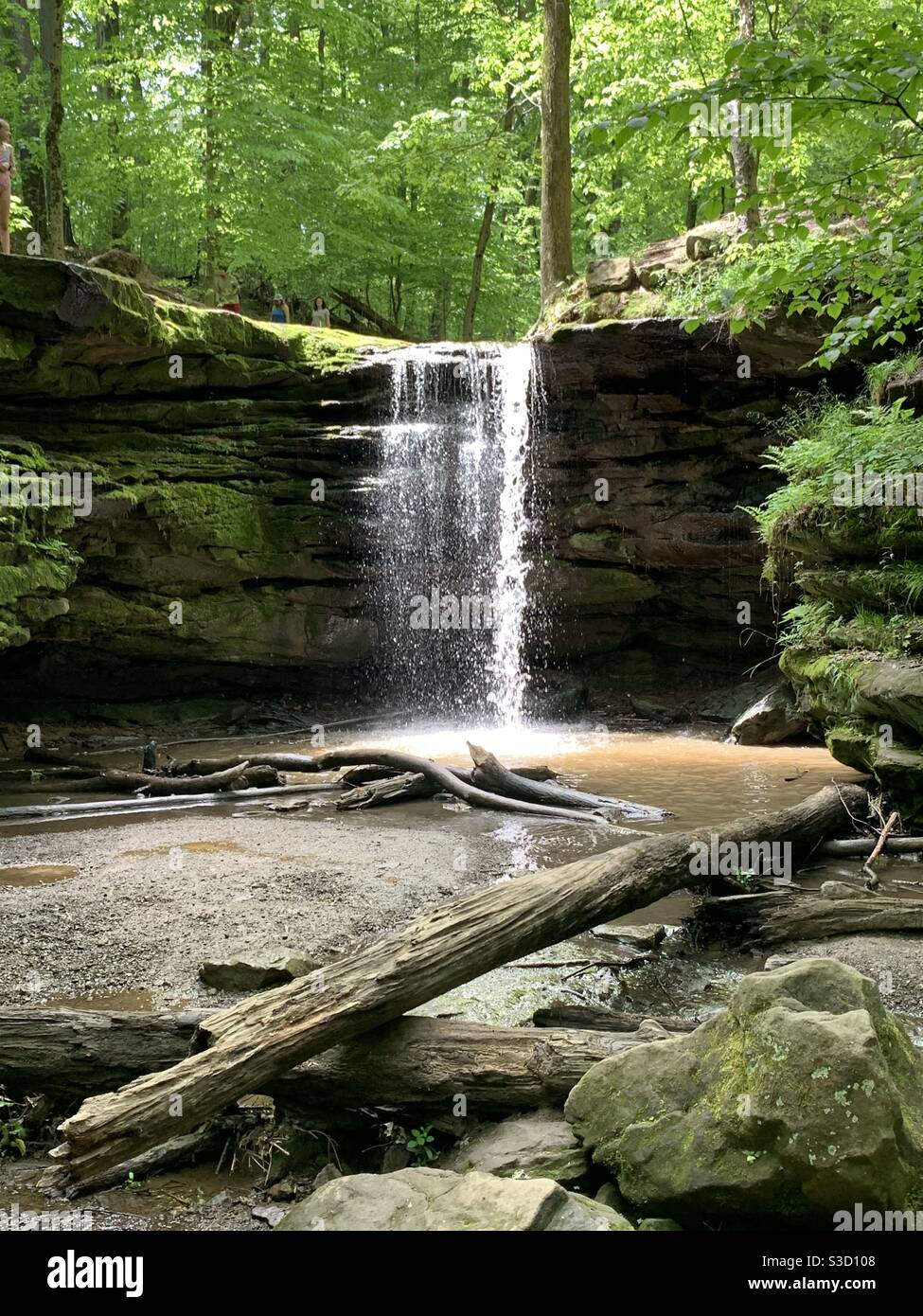 Cascata a Dundee Falls, Ohio Foto Stock