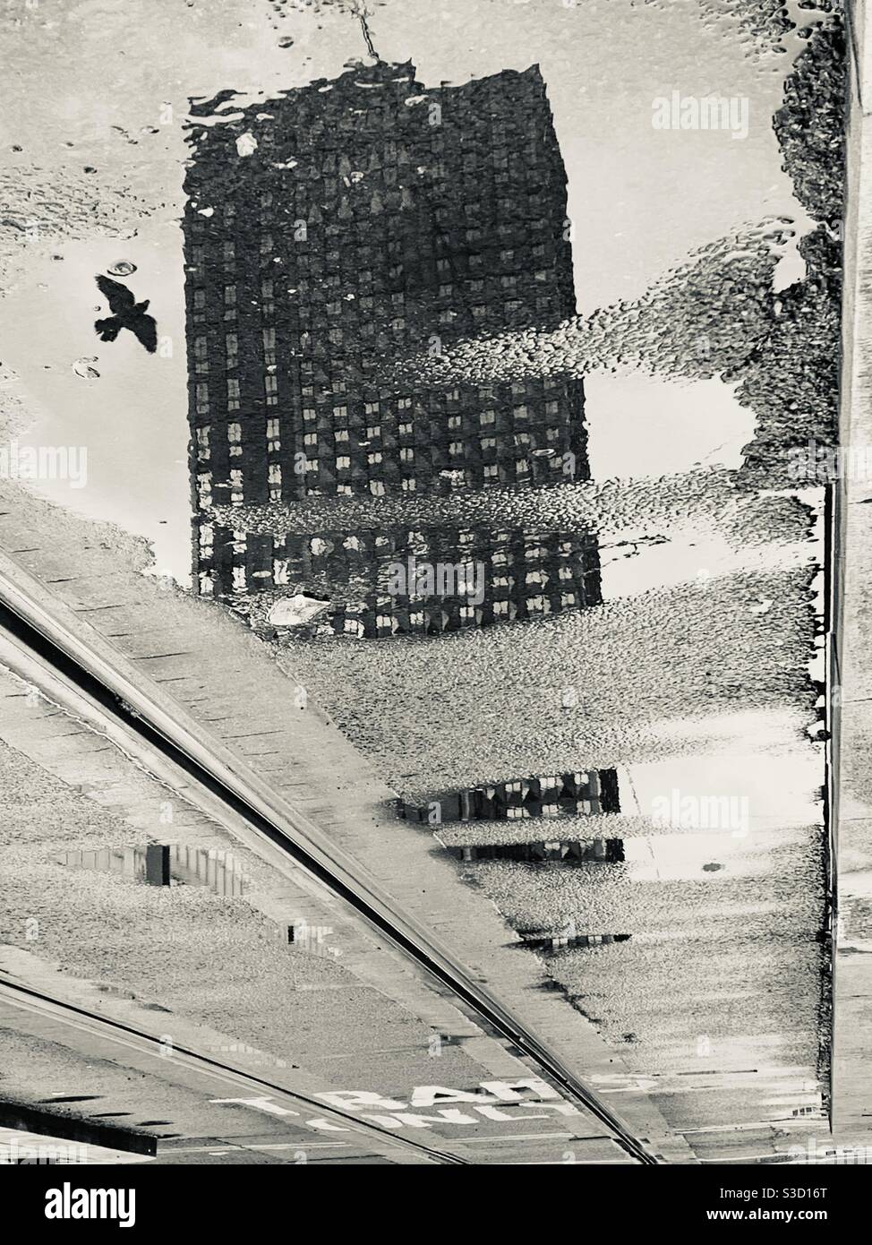 Immagine artistica di un edificio a Croydon con uccello che vola in alto - Immagine stock catturata con smartphone