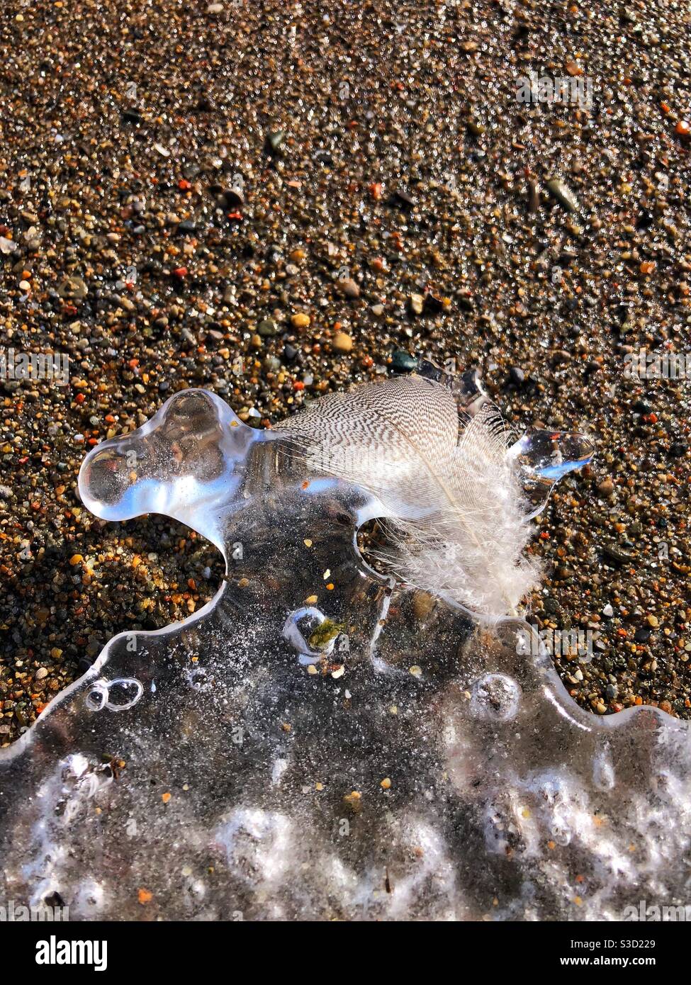 Un pezzo di ghiaccio e una piuma su una spiaggia di ciottoli. Foto Stock