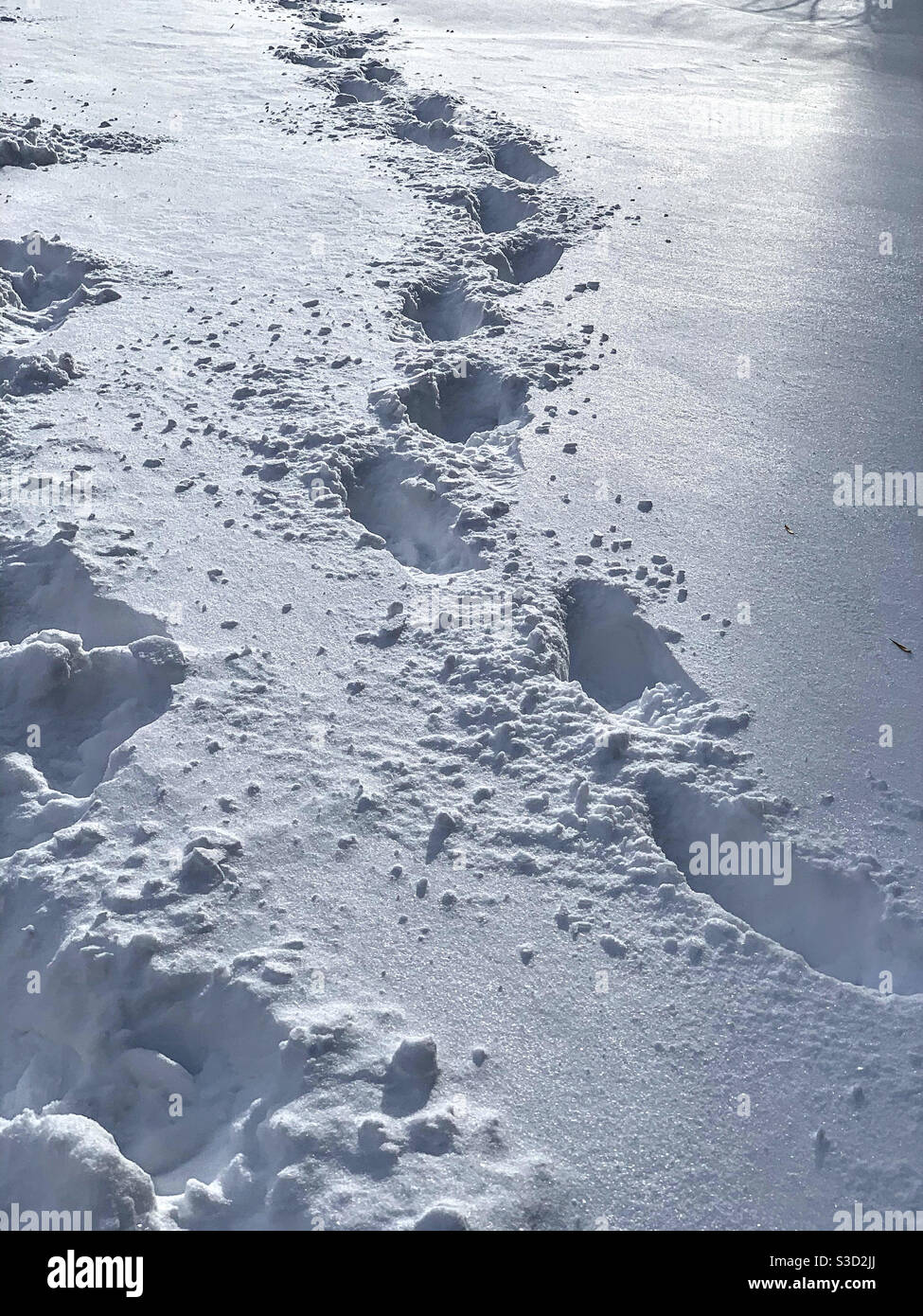 Una catena di impronte su neve piatta Foto Stock