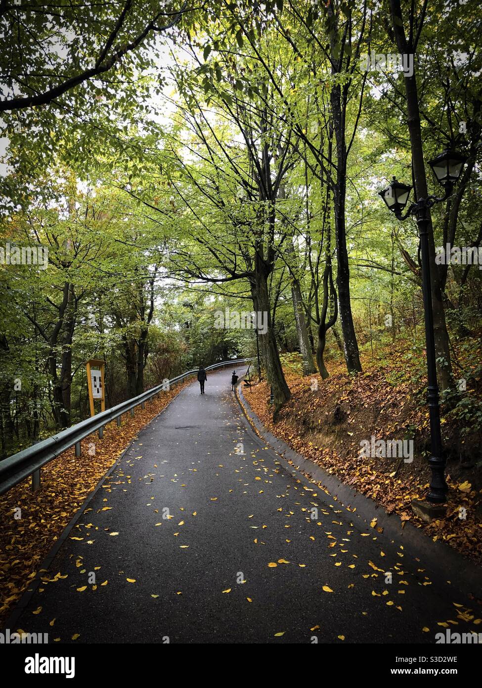 Donna che cammina da sola su una strada con foglie d'autunno cadute - Immagine stock catturata con smartphone