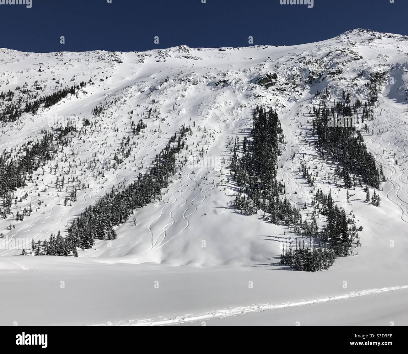 Piste da sci e snowboard Whistler Blackcomb Mountain BC Canada Foto Stock