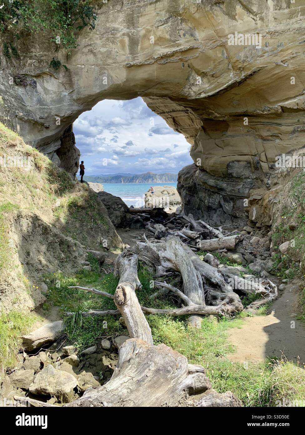 Buca nel muro lungo il Cooks Cove Walkway su Tolaga Baia Foto Stock