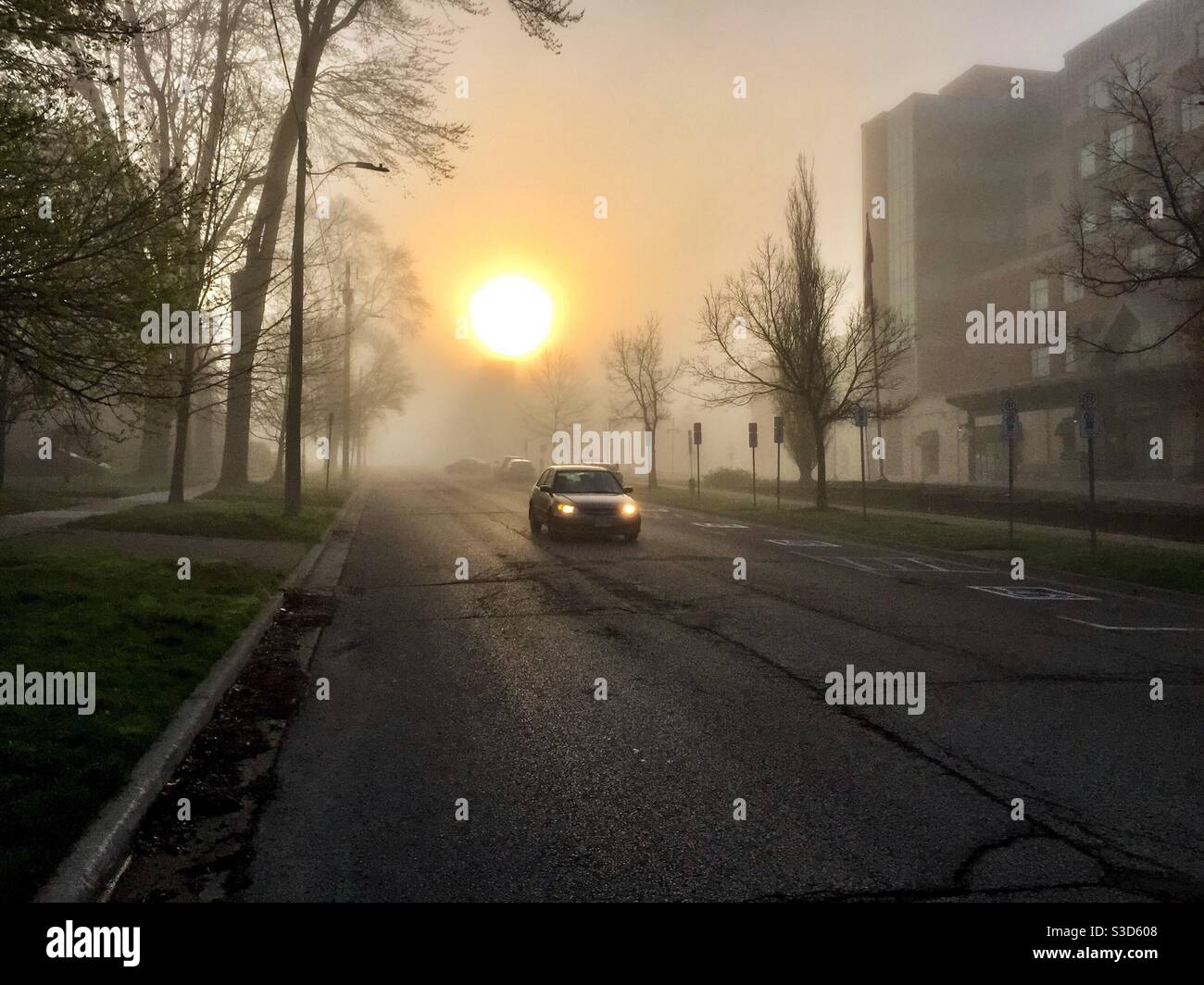 Dawn su una strada urbana, Ontario, Canada. Un altro giorno gli araldi che si drifting leggeri. Foto Stock