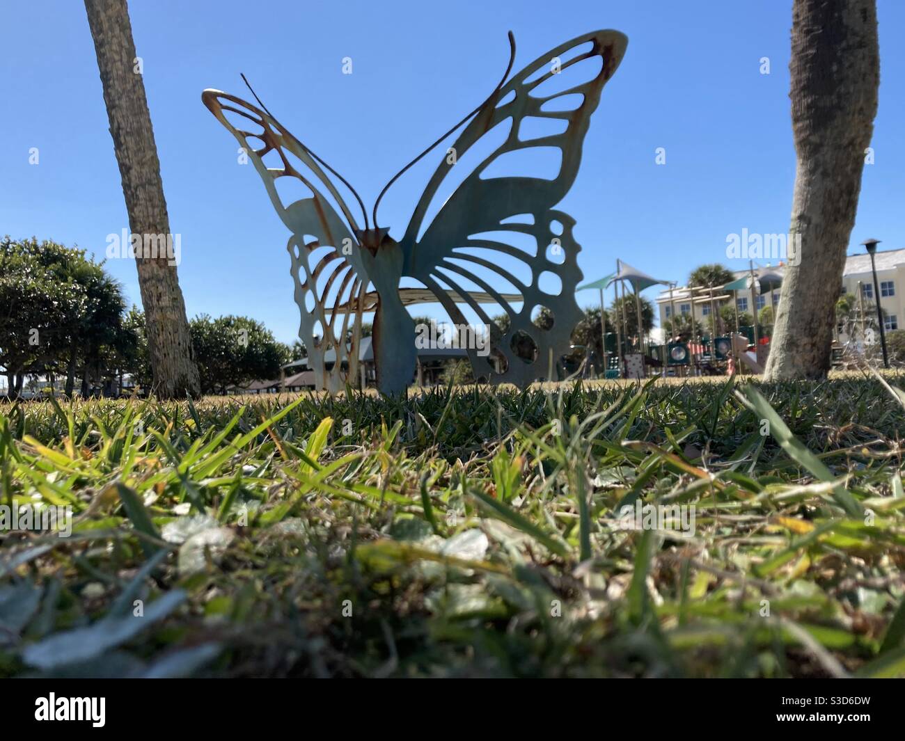 Una scultura a farfalla nell'erba prelevata da un basso angolo - Immagine stock catturata con smartphone