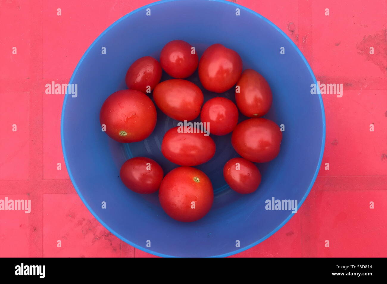Pomodori dal giardino - Immagine stock catturata con smartphone