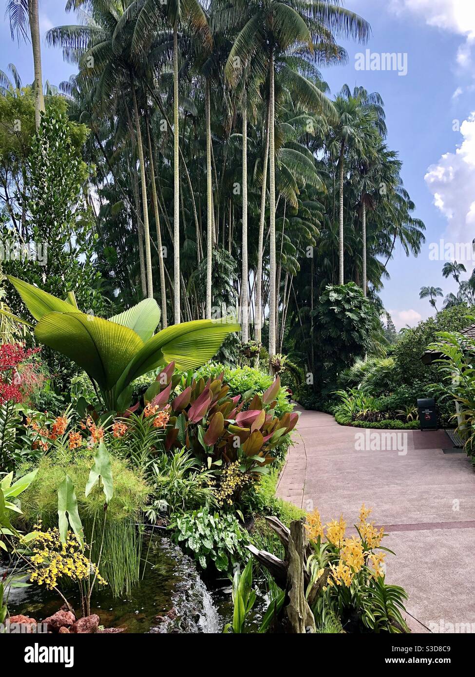 Una parte del National Orchid Garden Singapore Foto Stock