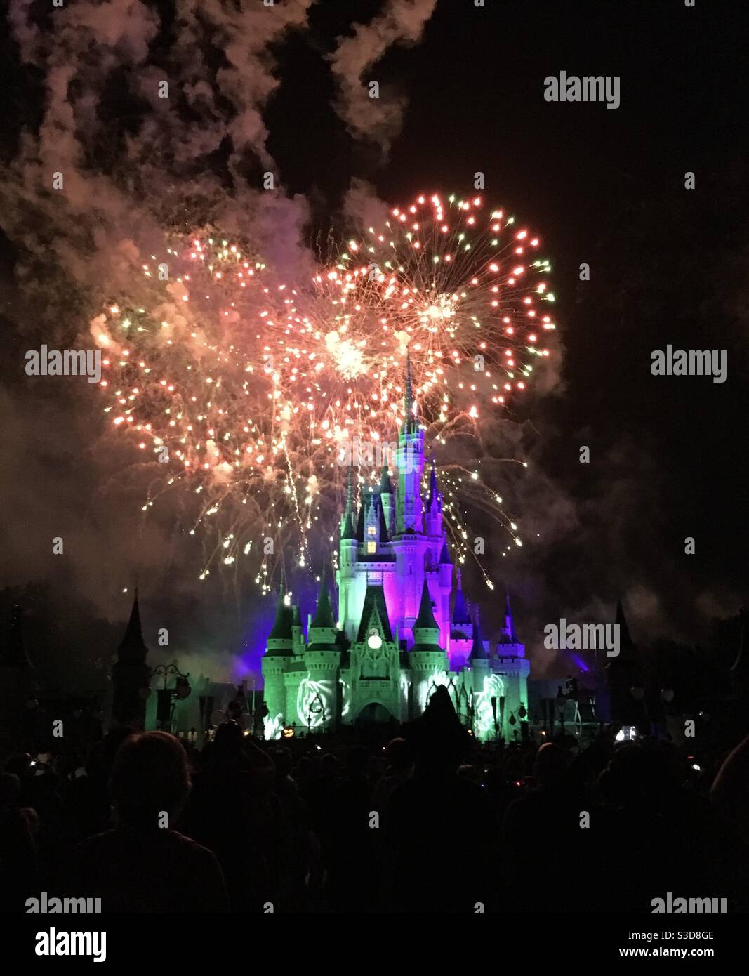 Castello di Cenerentola, Magic Kingdom, Disney World, Orlando, Florida Foto Stock