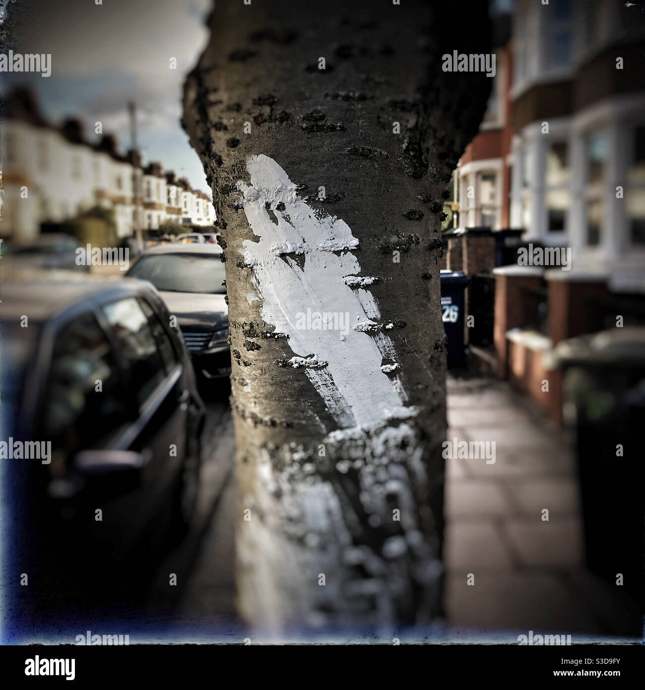 Segno di vernice spettrale su un albero Foto Stock