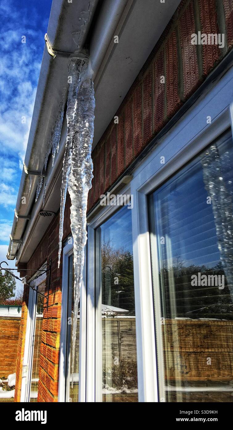 Icicle. Inverno nel Kent Regno Unito. Foto Stock