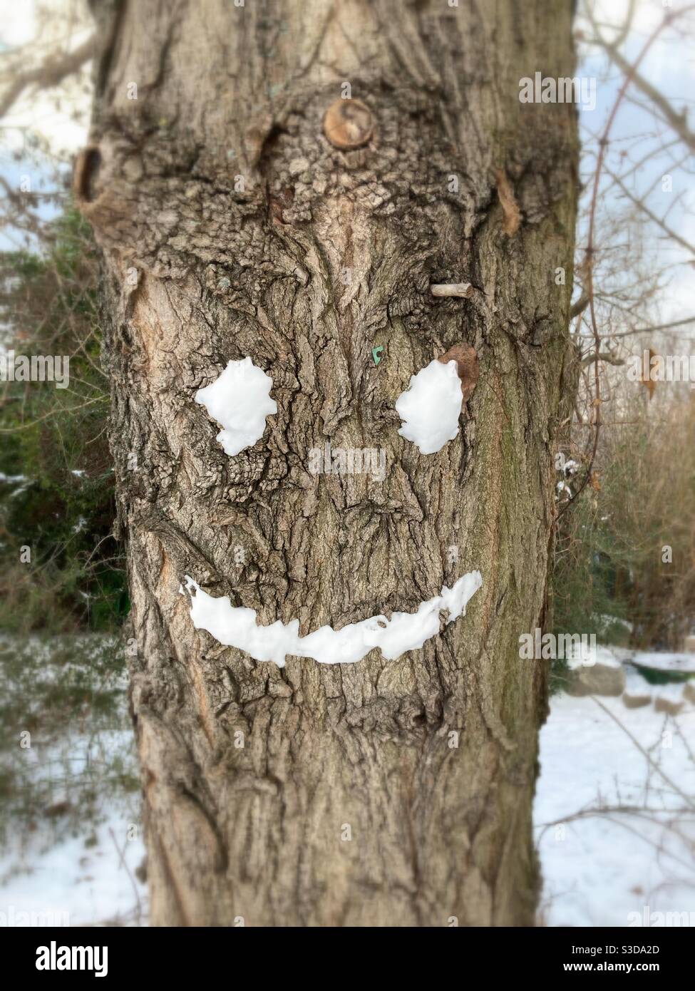 Albero con una faccia sorridente fatta di neve nel Park am Gleisdreieck, Berlino, Germania Foto Stock