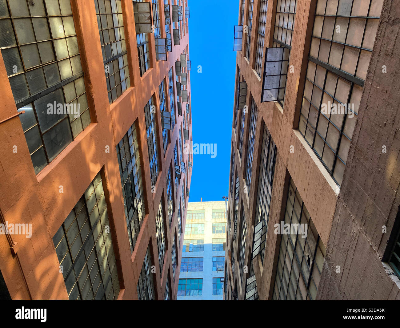 Guardando verso il cielo blu dal vicolo tra due edifici storici nel quartiere dei magazzini del centro di Los Angeles, con la luce del sole che si riflette dalle finestre - Immagine stock catturata con smartphone
