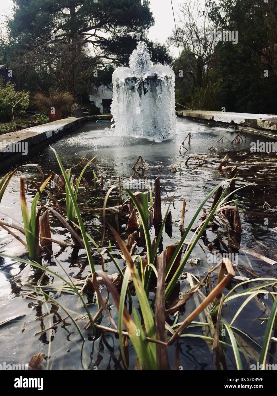 Giardino ghiacciato stagno e fontana Foto Stock