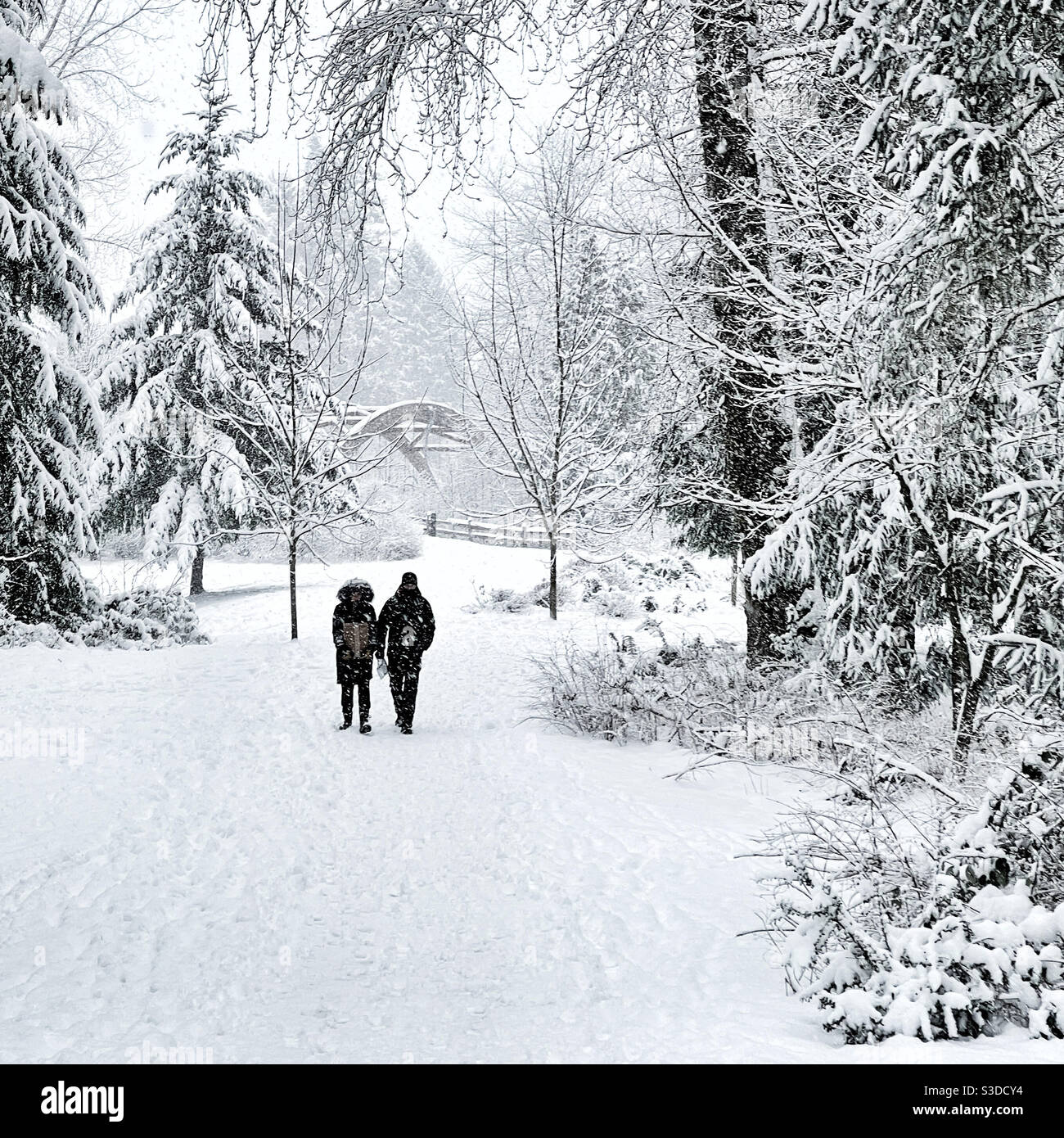 Coppie passeggiate attraverso il parco durante la tempesta di neve a Issaquah, WA Foto Stock