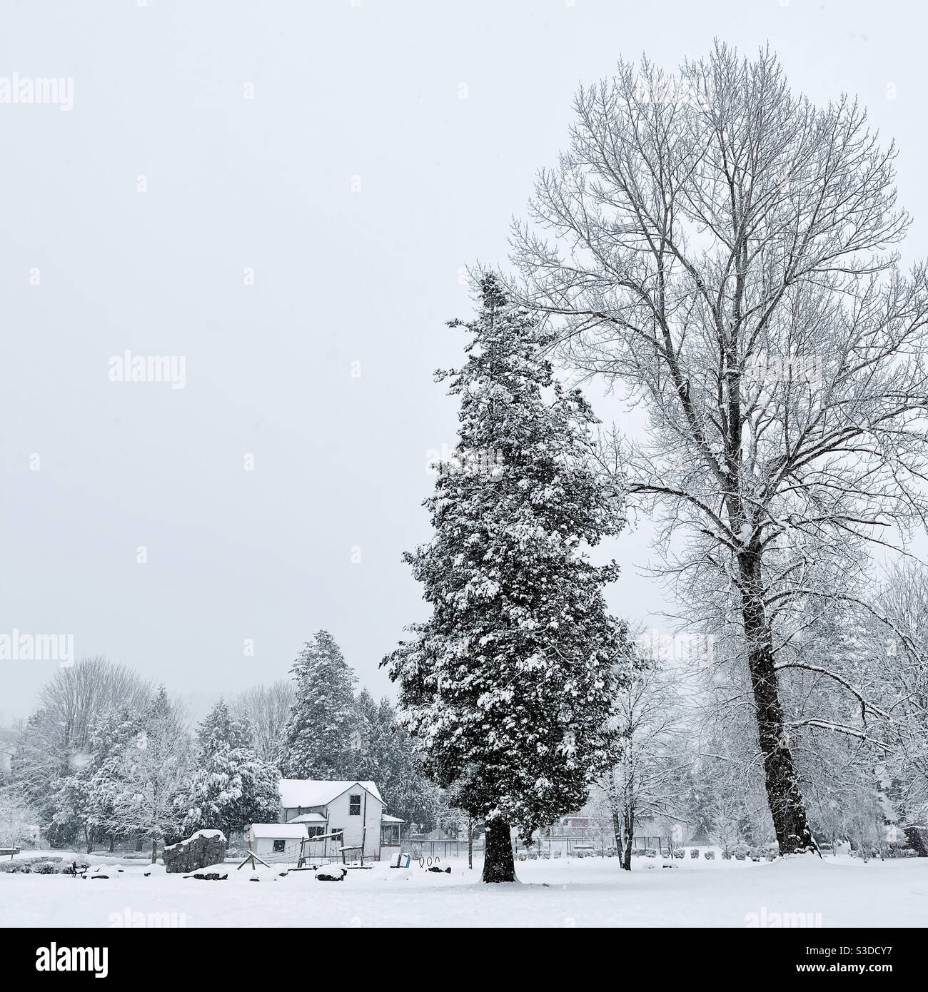 Parco della confluenza a Issaquah, WA, sotto la coperta di neve Foto Stock