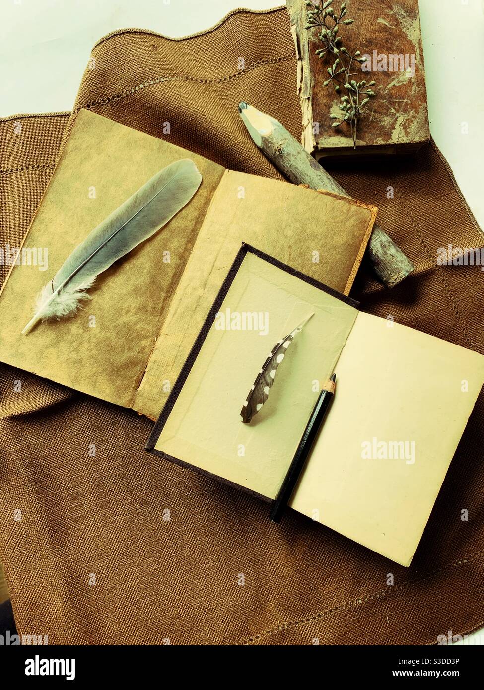 Ancora vita con libri e piume - Immagine stock catturata con smartphone