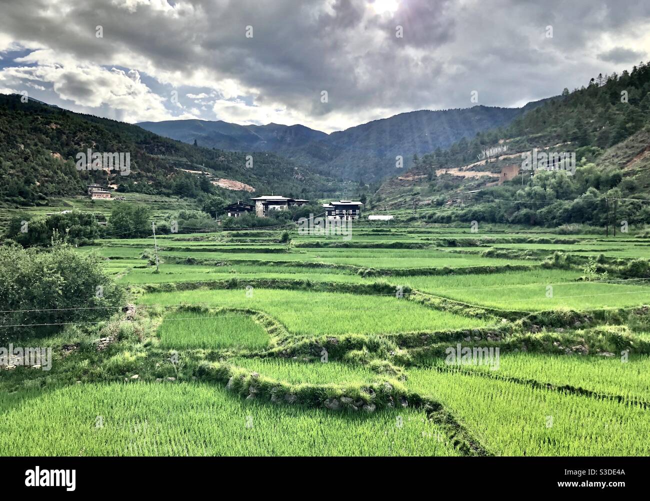 Paesaggio del Bhutanese: Risaie bagnate dalla luce del sole nella valle di Paro - Immagine stock catturata con smartphone