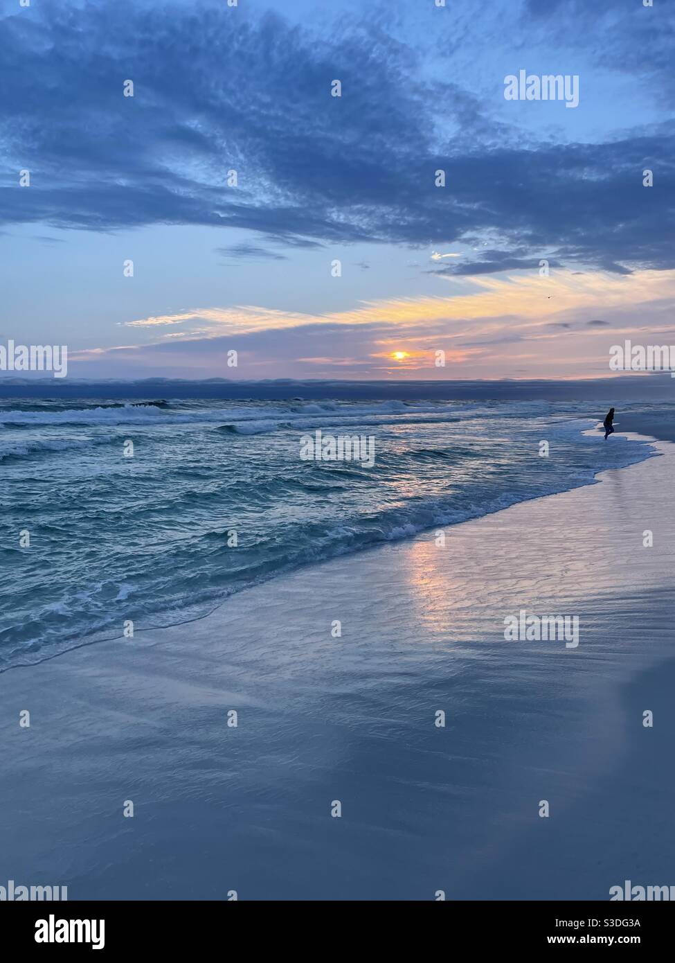 Tramonto sulla spiaggia della Florida con una silhouette surf da trasporto a riva Foto Stock