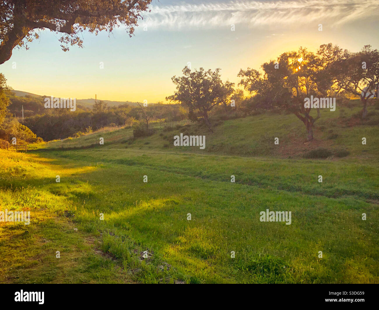 Scena rurale come il tramonto vicino Ourique, Portogallo - Immagine stock catturata con smartphone