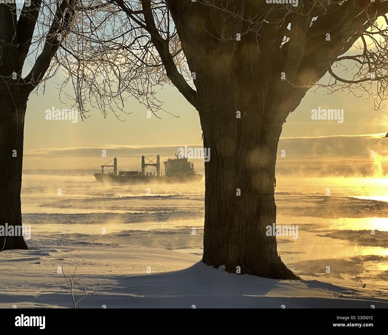 Navire sur fleuve brumeux Foto Stock