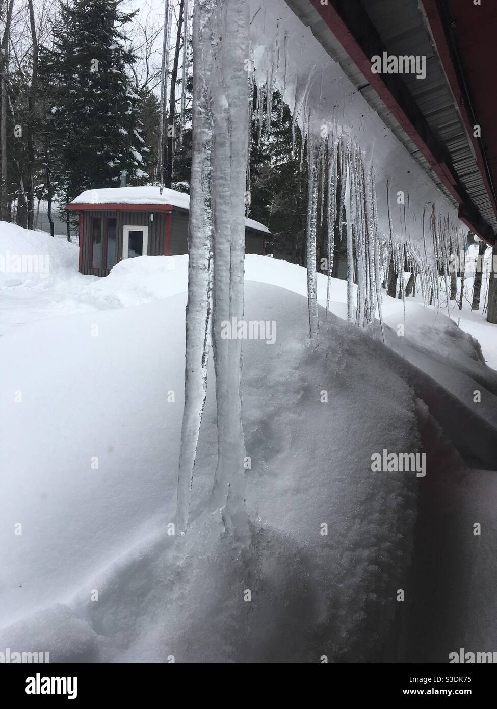 Icicles appesi in profonde nevicate lungo il muro di cabina nei boschi del nord del Maine, Aroostook County, 12 marzo 2018. Foto Stock