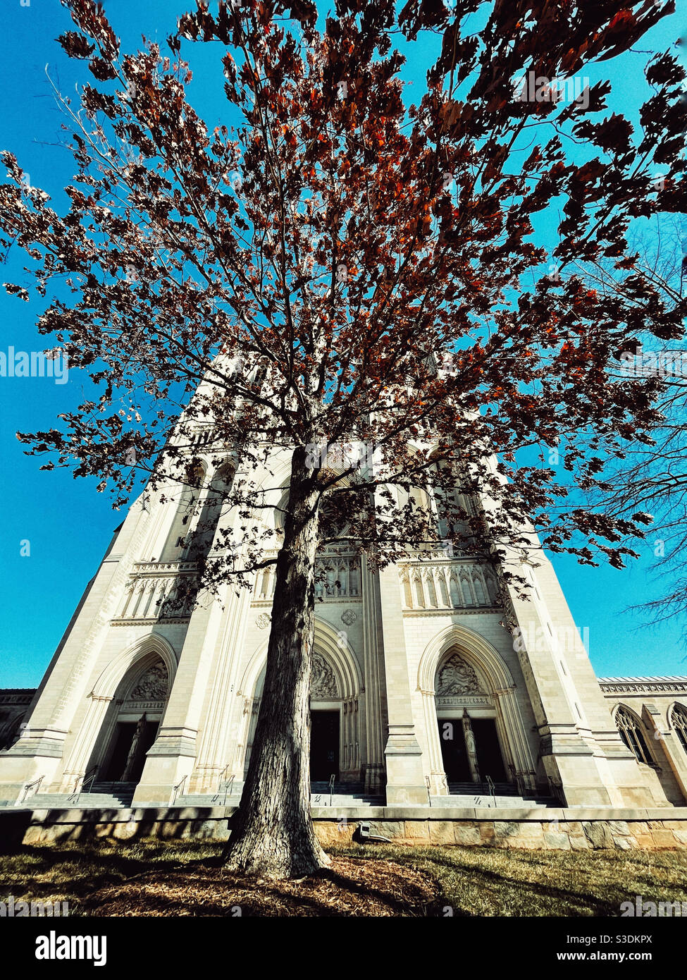 La Cattedrale Nazionale di Washington Foto Stock