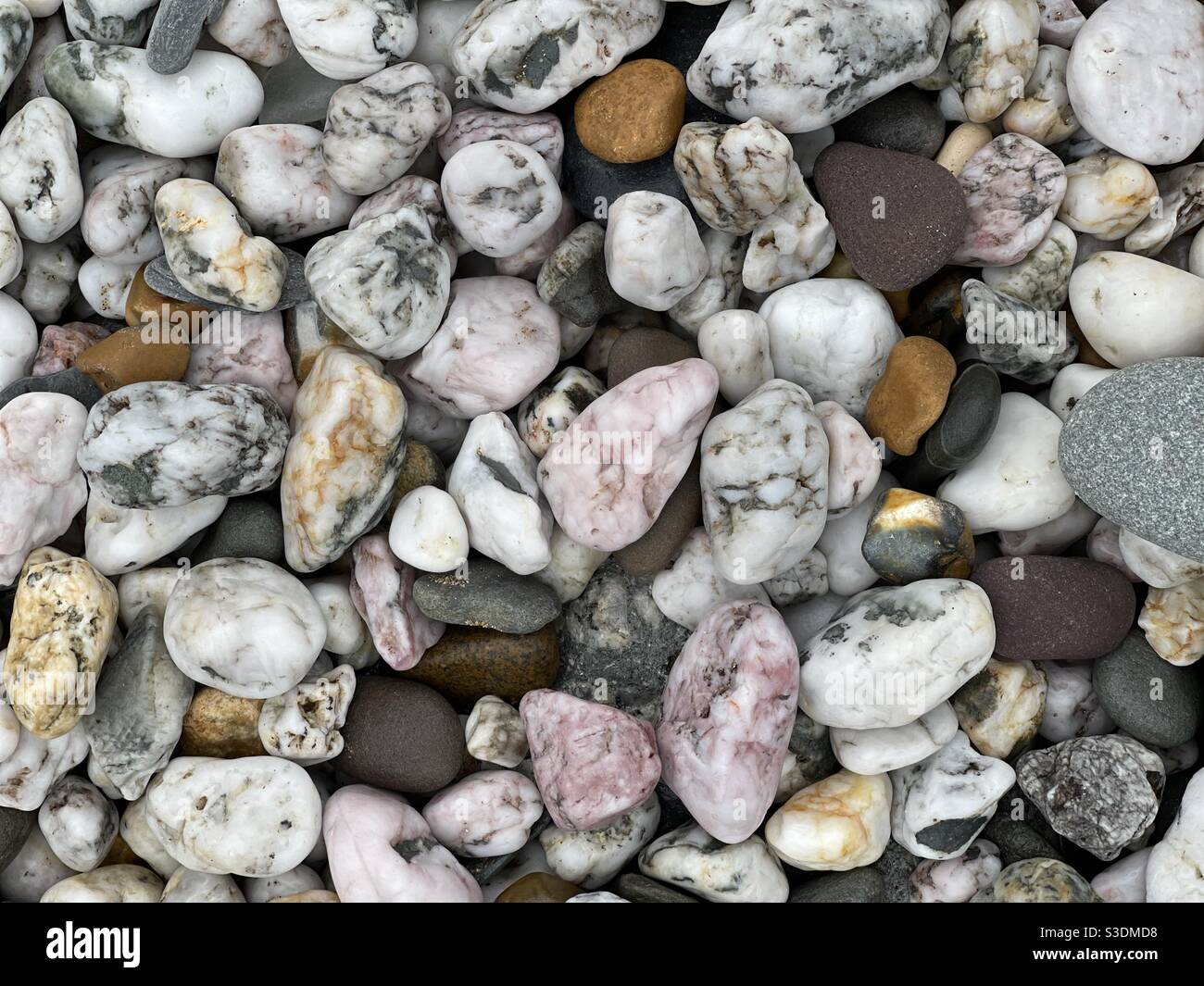 Ciottoli rosa sulla spiaggia di Woolacombe Foto Stock