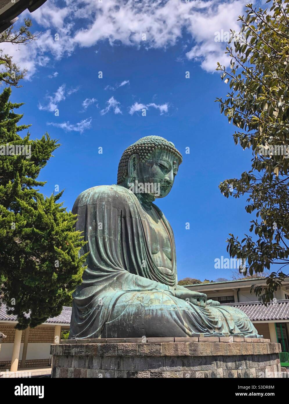 Vista laterale della statua di bronzo del Grande Buddha di Kamakura nel tempio di Kotoku-in, Giappone. Foto Stock