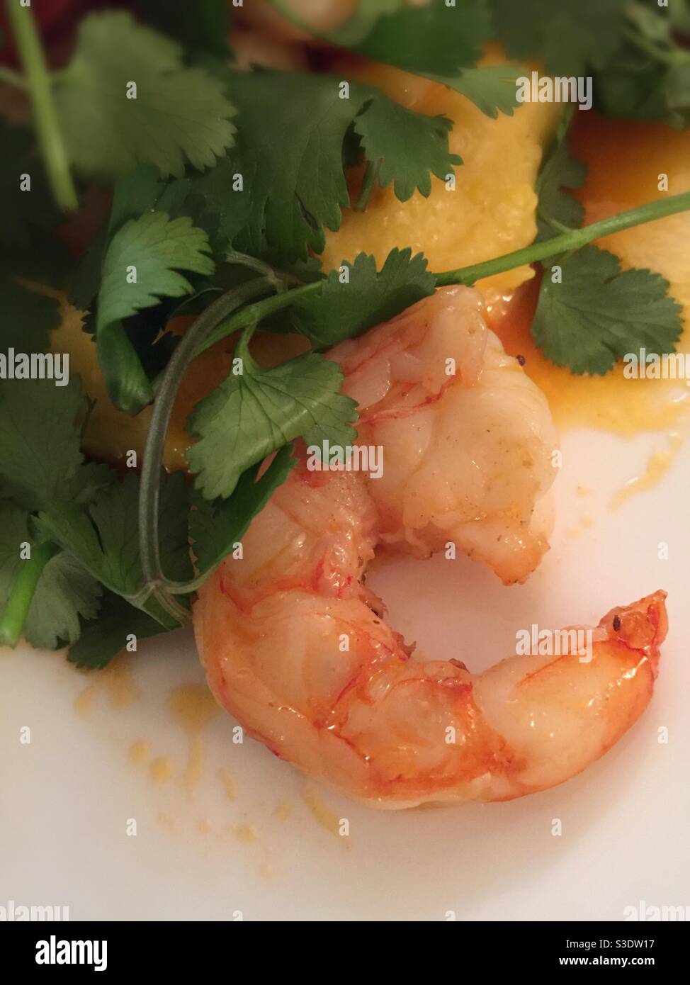 Flatley primo piano del sud entrée gamberi e grits guarnire con coriandolo, USA - Immagine stock catturata con smartphone