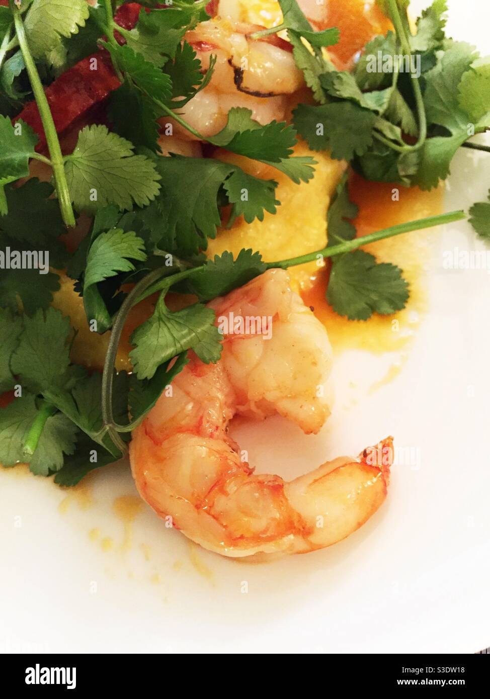 Lago piano primo piano dei gamberi entrée e grits guarnito con coriandolo, Stati Uniti d'America - Immagine stock catturata con smartphone