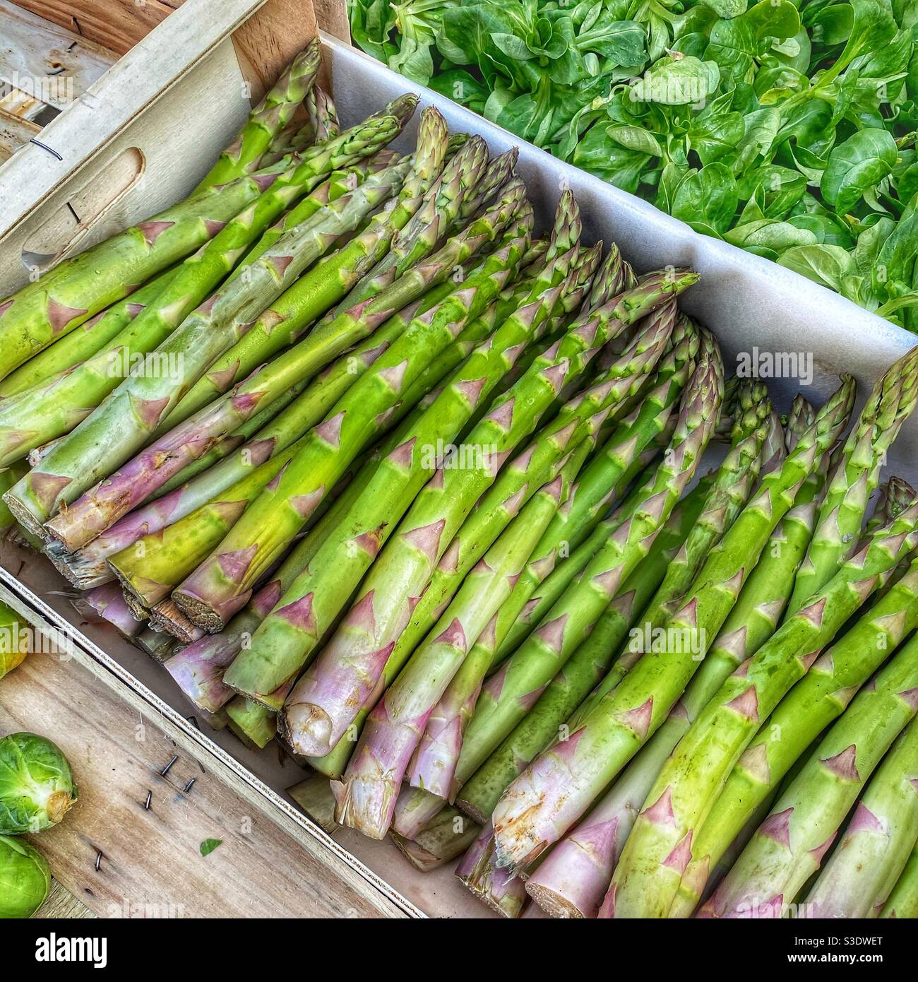 Asparagi freschi su una bancarella di mercato francese - Immagine stock catturata con smartphone