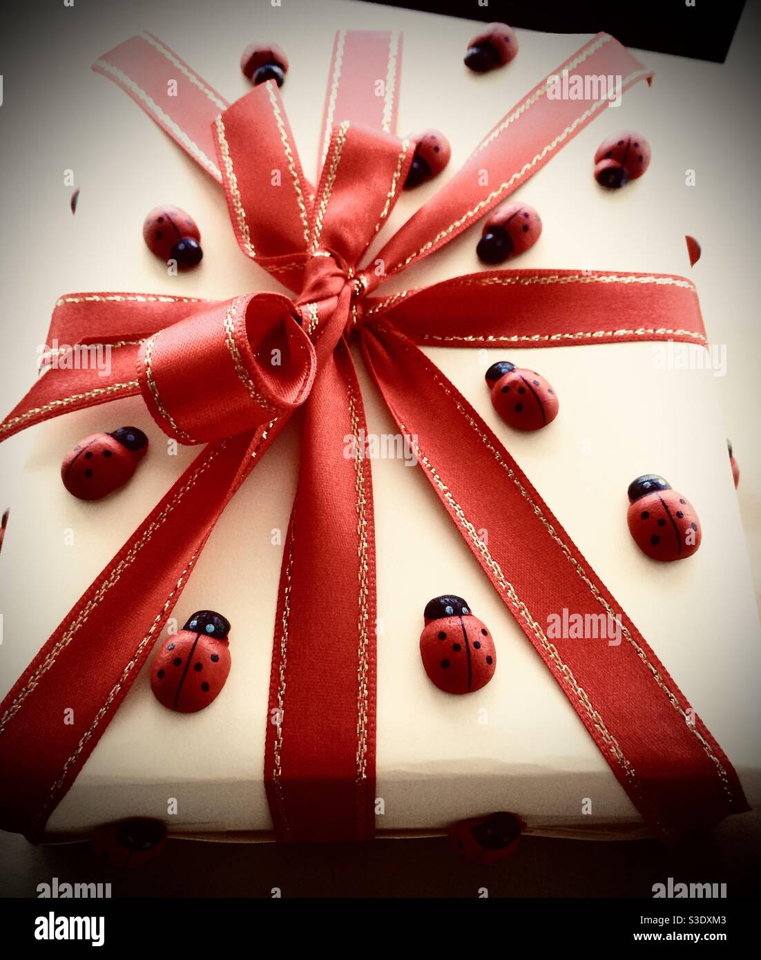 Bella confezione regalo con arco rosso e bug signora - Immagine stock catturata con smartphone