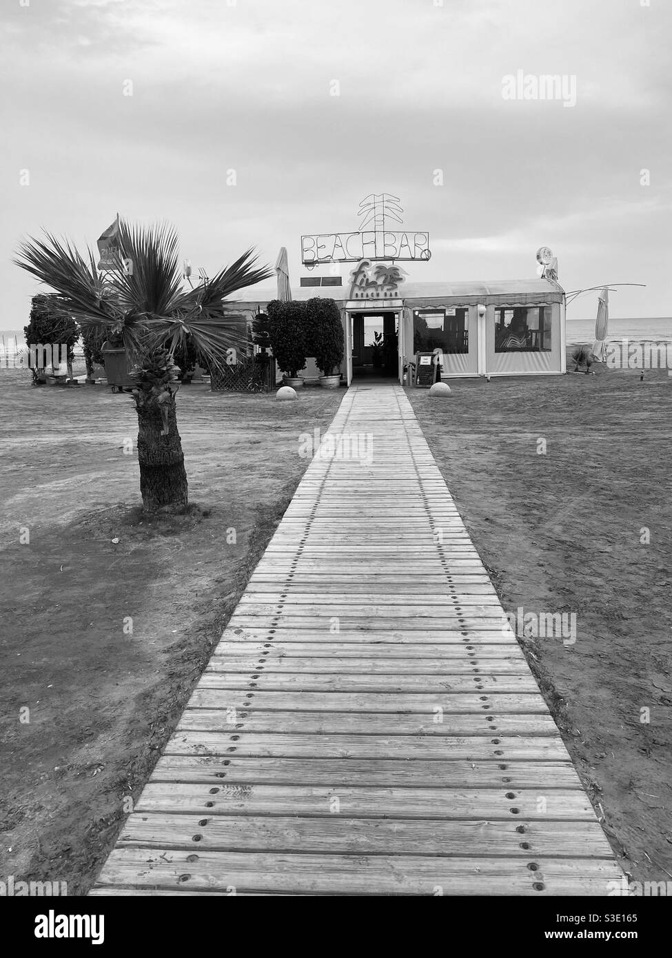 Bar sulla spiaggia deserto con palme in bianco e nero Foto Stock