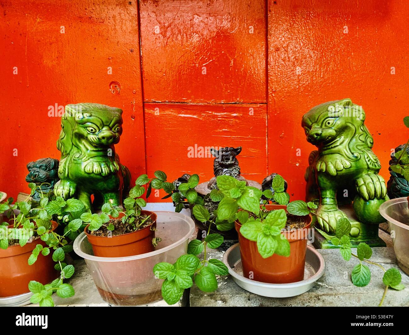 Leoni guardiani cinesi ( cani fu ) fuori del tempio di Hung Shing in AP lei chau, Hong Kong. Foto Stock