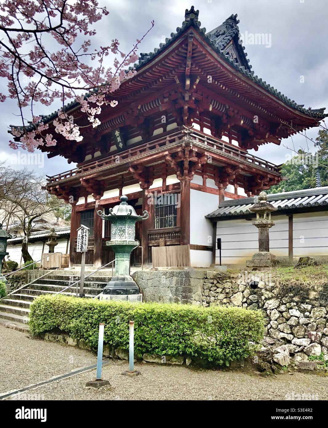 La porta del tempio di Kongo-ji e i ciliegi in fiore di sakura, primaverile a Kawachi Nagano, Osaka, Giappone - Immagine stock catturata con smartphone