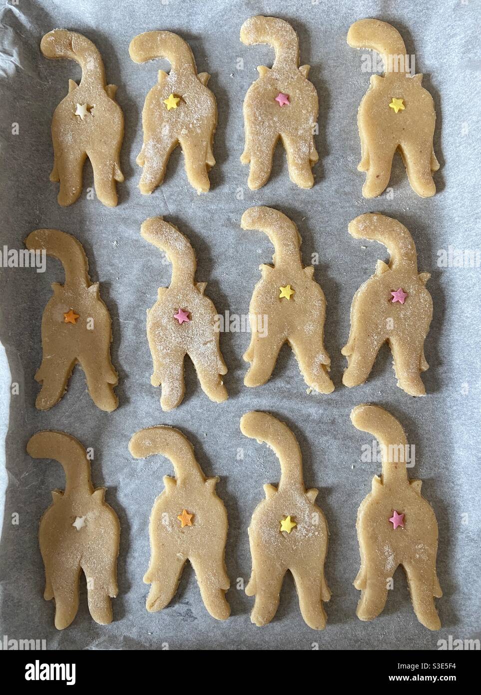 Biscotti Cat Bum pronti per il forno. - Immagine stock catturata con smartphone